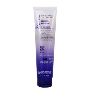 2Chic Repairing Intensive Hair Mask 150ml GIOVANNI