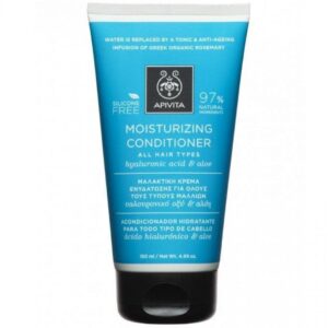 Moisturizing Conditioner APIVITA